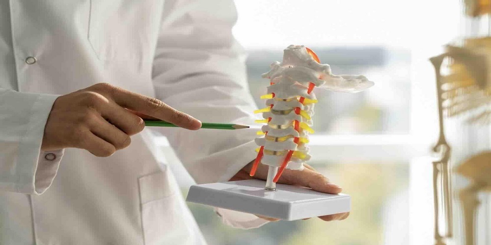 Scoliosis Treatment Options